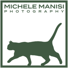 Logo Michele Manisi Photography